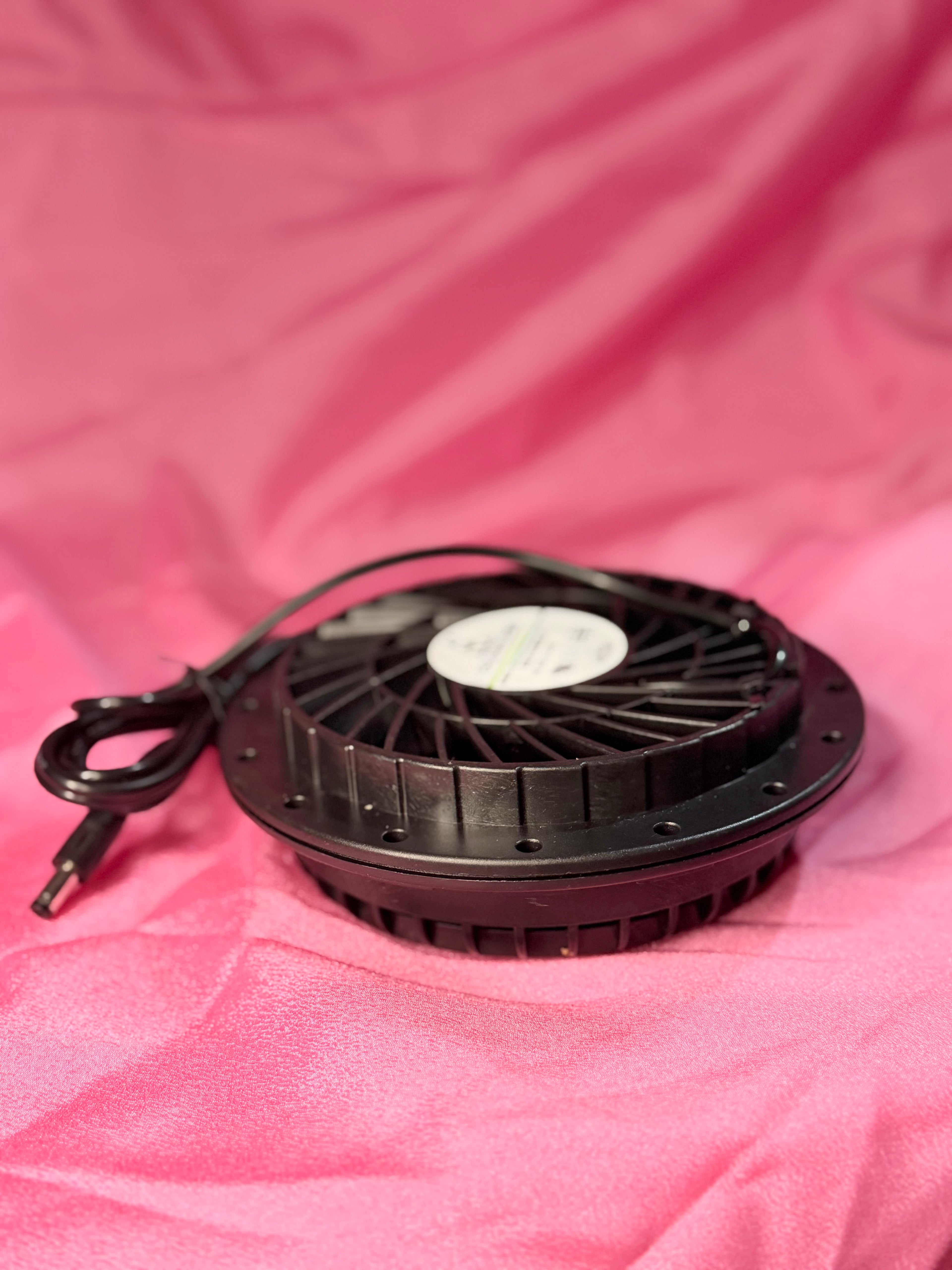Inflatable Costume Fan